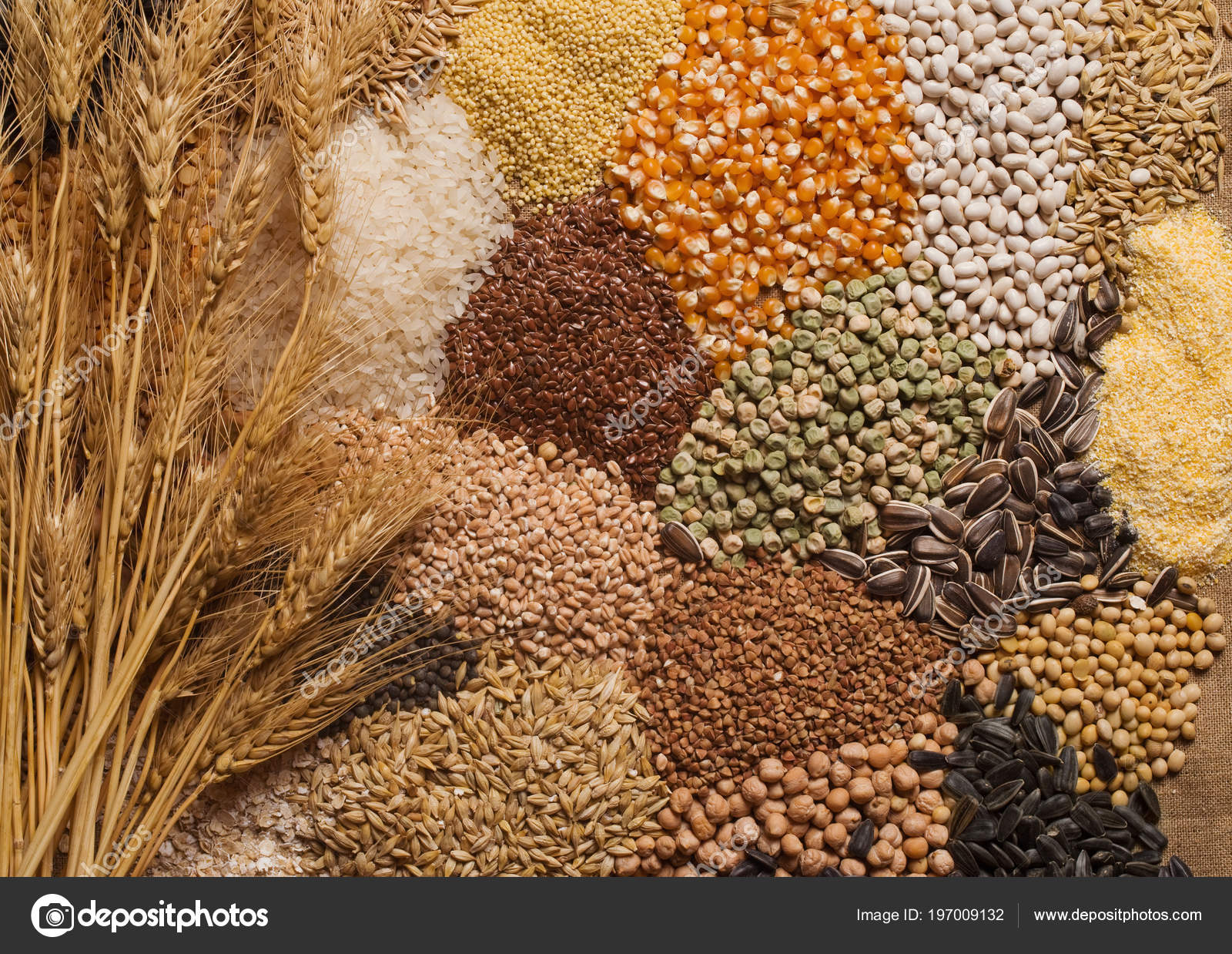 Cereal Grains Seeds Beans Stock Photo by ©aboikis 197009132