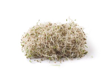 Beyaz bir arka plan üzerinde filizlenmiş yonca