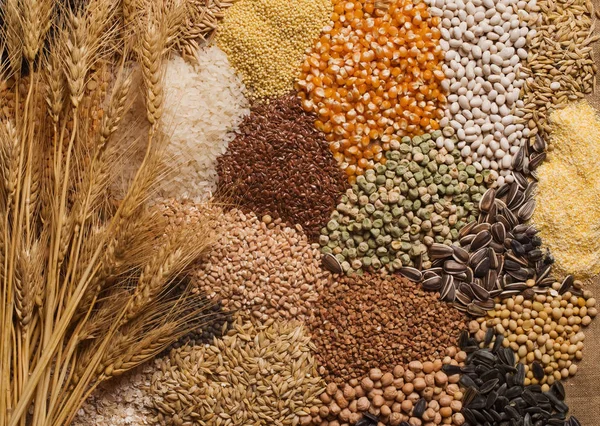 Cereal Grains Seeds Beans — Stock Photo, Image