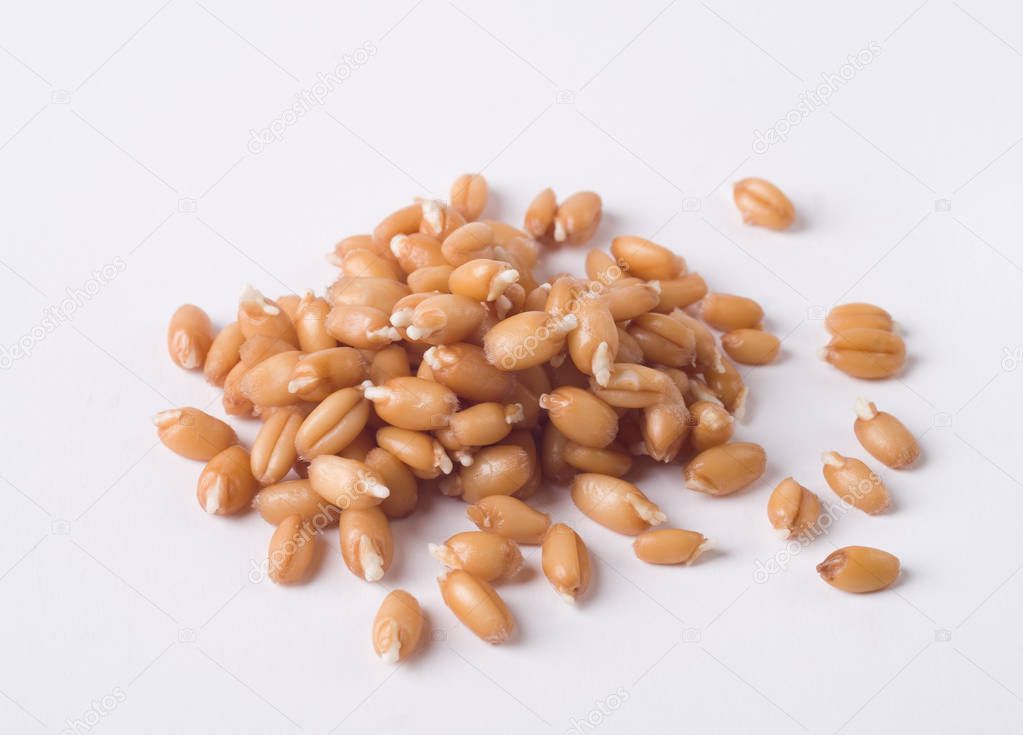 Wheat germs on a white background