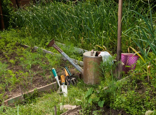 Outils de jardinage — Photo