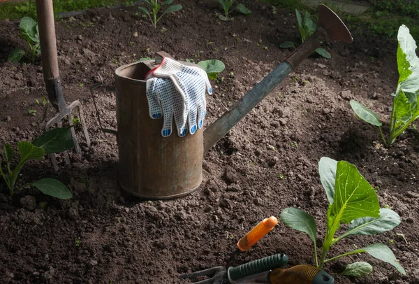 Gardening tools — Stock Photo, Image