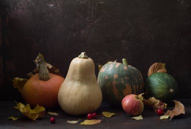  Balkabaklarıyla sakin bir hayat