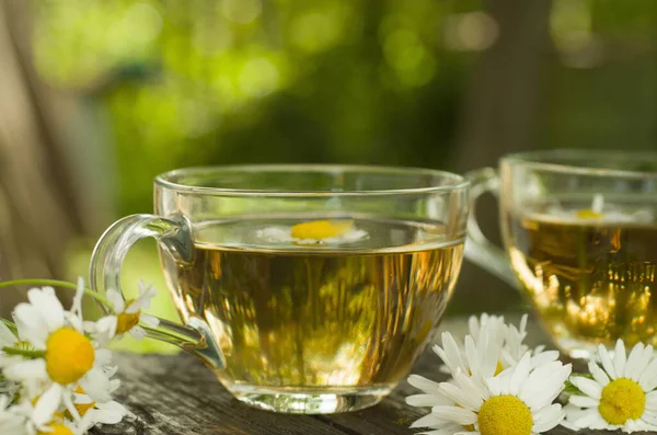 Chamomile tea — Stock Photo, Image