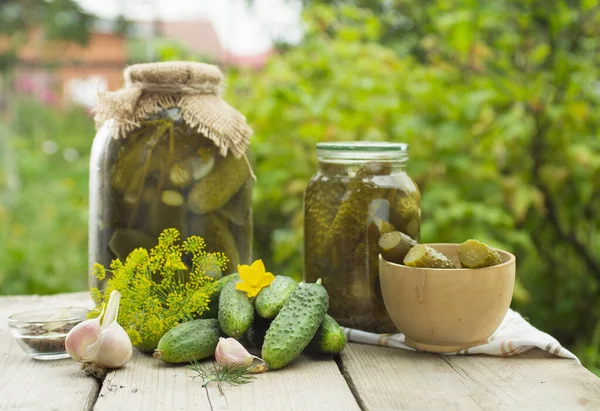 Fresh cucumbers — Stock Photo, Image