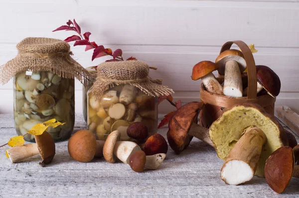 Fresh boletus — Stock Photo, Image