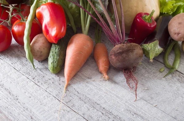 신선 한 야채 — 스톡 사진