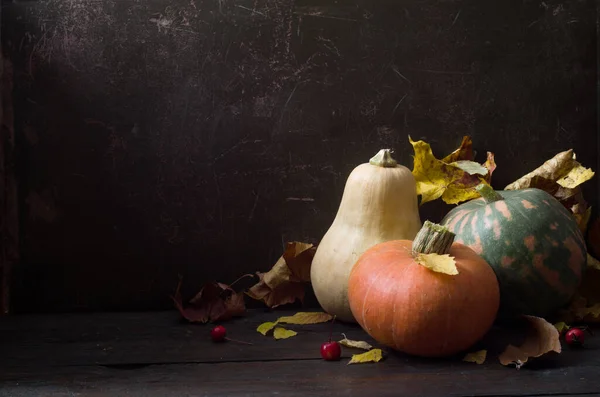 Still life with pumpkins — Stock Photo, Image