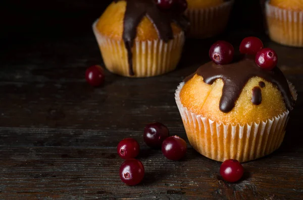 Muffins — Stockfoto