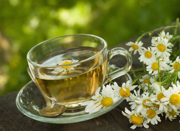 洋甘菊茶 图库照片