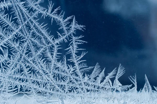 Frosty natuurlijke patroon — Stockfoto