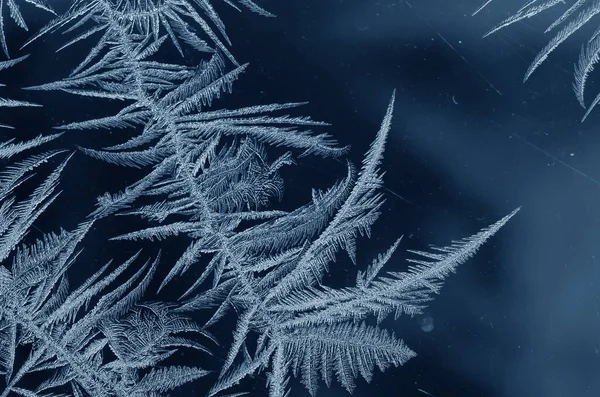 Frosty natural pattern — Stock Photo, Image