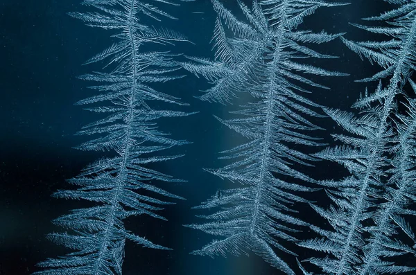 Frosty natural pattern — Stock Photo, Image