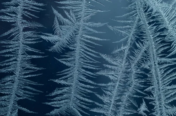 Frostiges natürliches Muster — Stockfoto