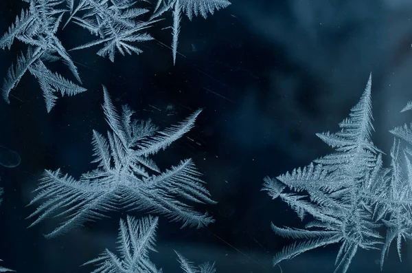 冰霜天然花纹 — 图库照片
