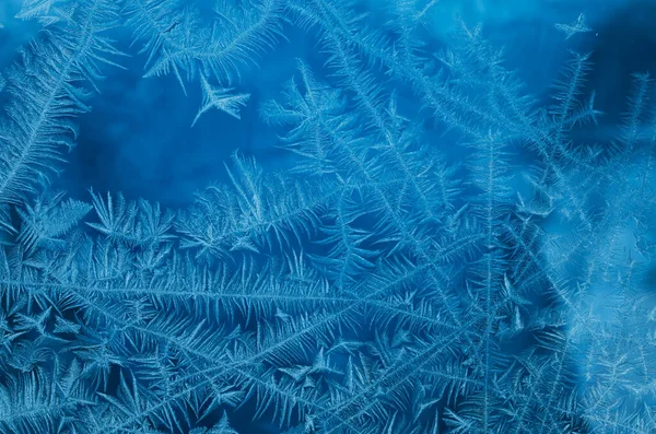 Frosty natural pattern — Stock Photo, Image