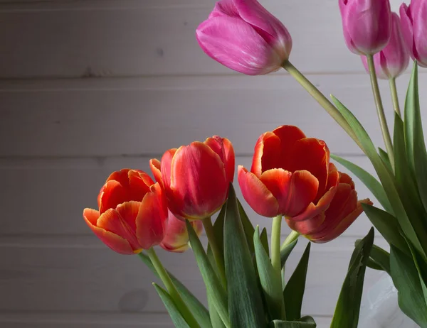 Kytice tulipánů na dřevěné pozadí — Stock fotografie