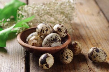 Çiğ bıldırcın yumurtası.