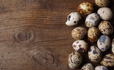 bıldırcın yumurtası 