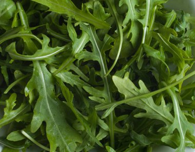 taze roka yaprakları