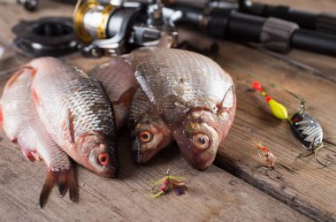 Taze çiğ balık asılı. 