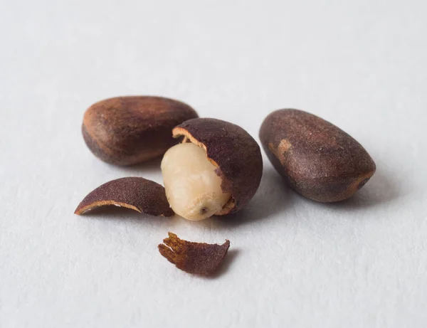 Cedar nuts — Stock Photo, Image