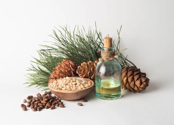 Conos de cedro con aceite — Foto de Stock