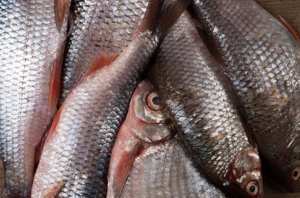 Fischhintergrund — Stockfoto