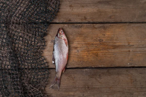 Fisch auf einem hölzernen Hintergrund — Stockfoto