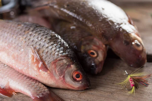 Frischer roher Fisch hängt — Stockfoto