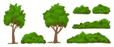 Vector trees and bushes set clipart