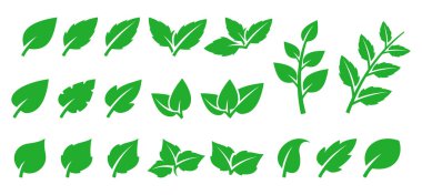 yaprak yeşil ayarla