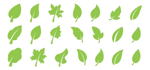 Zestaw zielony liść — Wektor stockowy