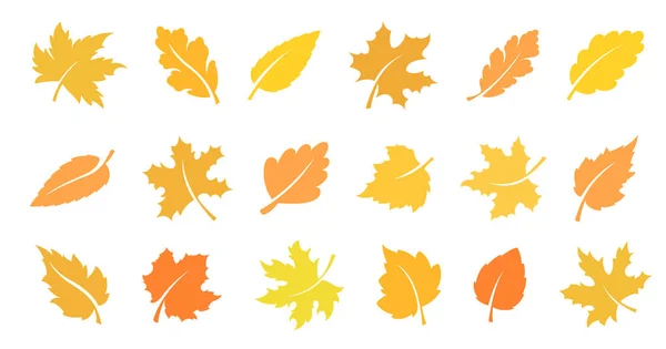 Feuille d'automne ensemble — Image vectorielle