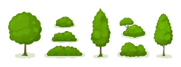 Zomer. Bomen set — Stockvector