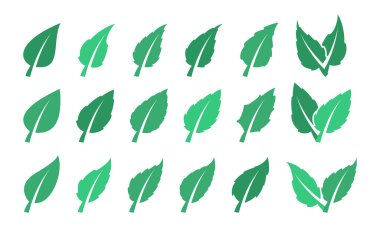 Yeşil yaprak takımı. Eko tasarımı