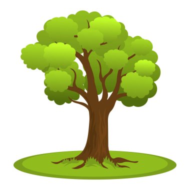 Düz taçlı yaz ağacı