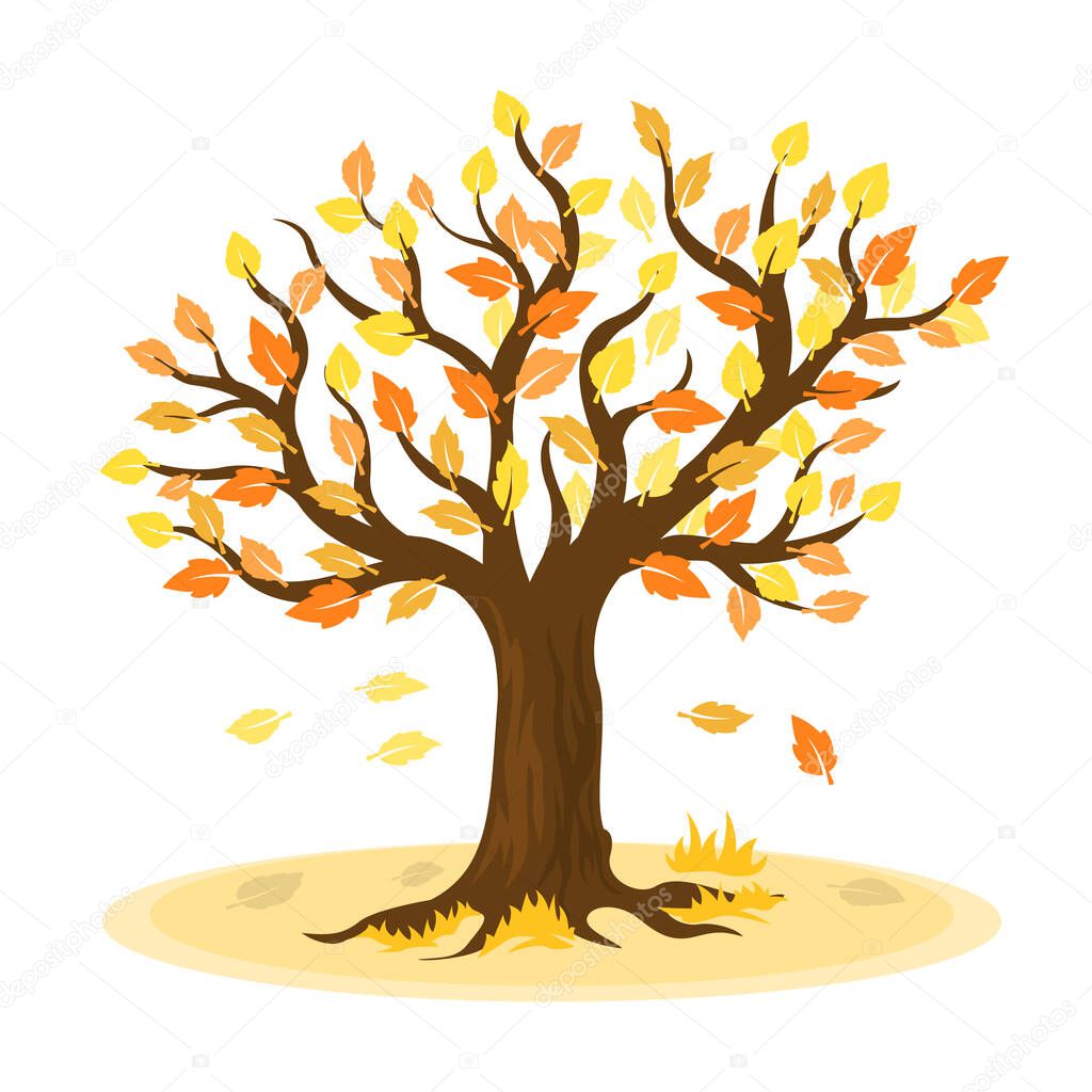 Autumn tree with yellow leaves