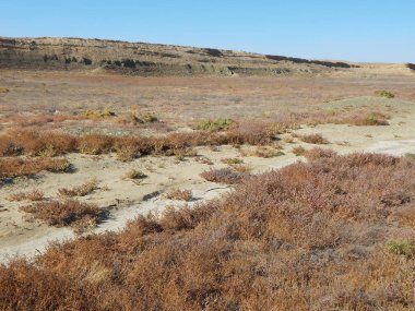 Uranyum çukur. Terk edilmiş uranyum ocağı. Mangistau bölge. Kazakistan.