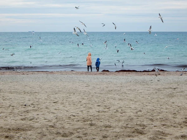 People Feed Gulls Coast Caspian Sea Kazakhstan — Stock Photo, Image