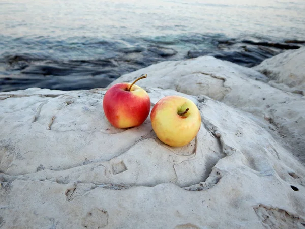 Two apples on a rocky seashore. View from above.