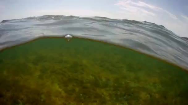 Undervattens Och Ytlandskap Kaspiska Havet — Stockvideo