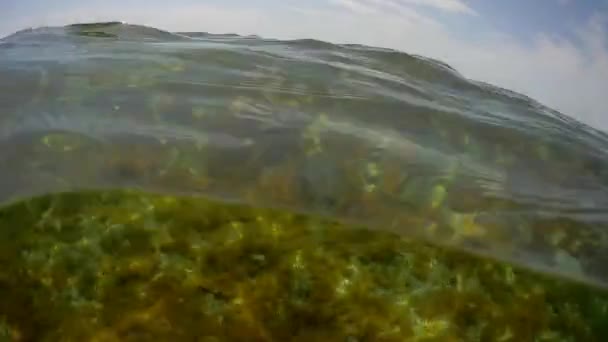 Paisaje Submarino Superficie Del Mar Caspio — Vídeos de Stock