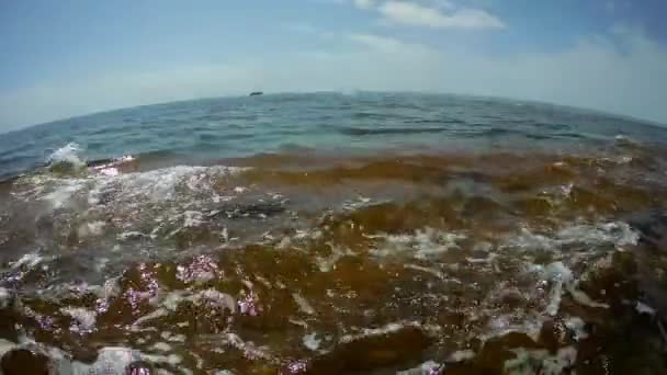 Водная Поверхность Каспийского Моря Вблизи Берега — стоковое видео