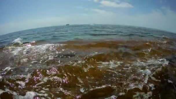 Superficie Dell Acqua Del Mar Caspio Vicino Alla Riva — Video Stock