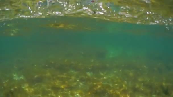 Den Klippiga Stranden Kaspiska Havet Och Ovanför Vattnet — Stockvideo