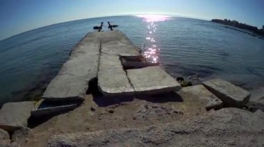 Eski beton iskele. Hazar Denizi. Kazakistan. Aktau.