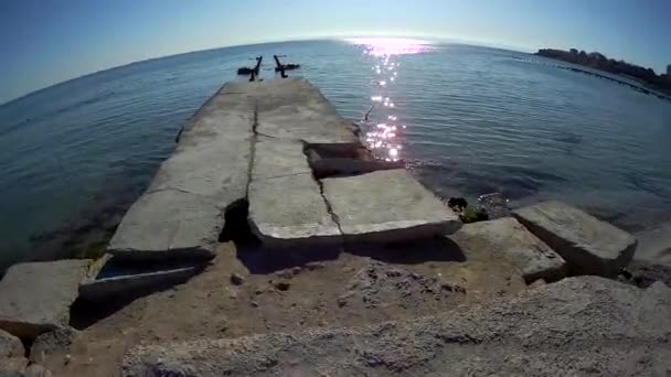 Viejo Muelle Concreto Mar Caspio Kazajstán Aktau — Vídeo de stock