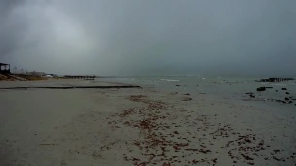 Sand Kusten Vid Kaspiska Havet Aktau Kazakstan — Stockvideo