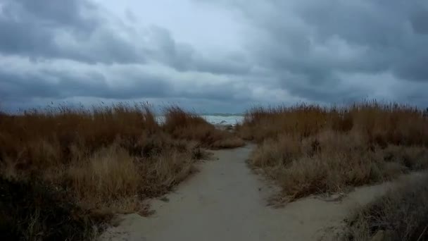 通往大海的小径 里海沿岸 二月的月份 — 图库视频影像